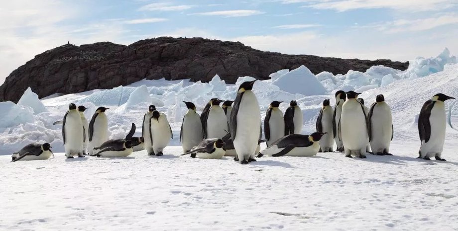 Фото: Woods Hole Oceanographic Institution