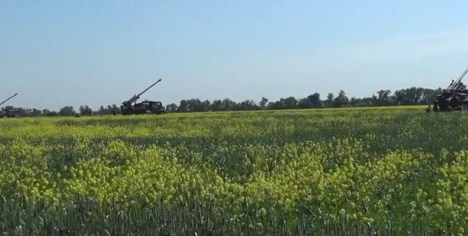 французские сау на донбассе