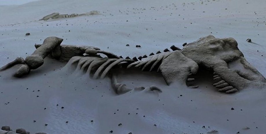 Скелет, смерть, вымирание