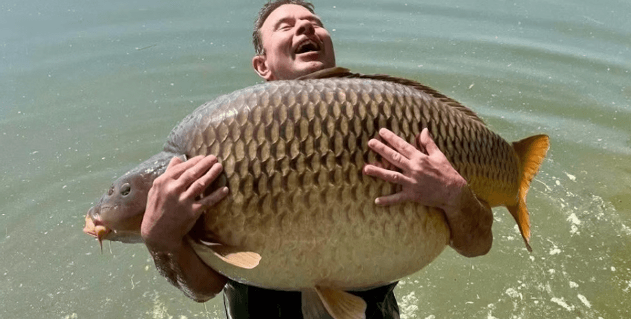Неофіційний світовий рекорд, короп з завважки 48 кілограмів, найбільший з коли-небудь зареєстрованих, всі подробиці
