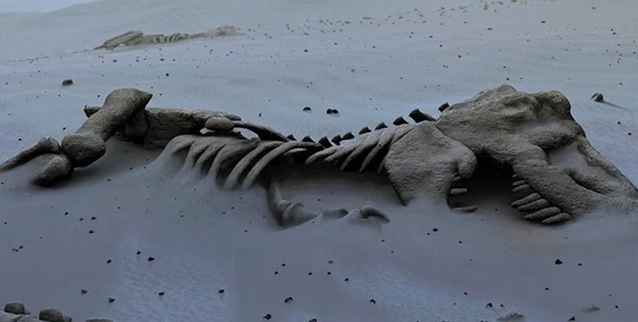 динозаври, скам'янілості динозаврів, динозаври скам'янілості