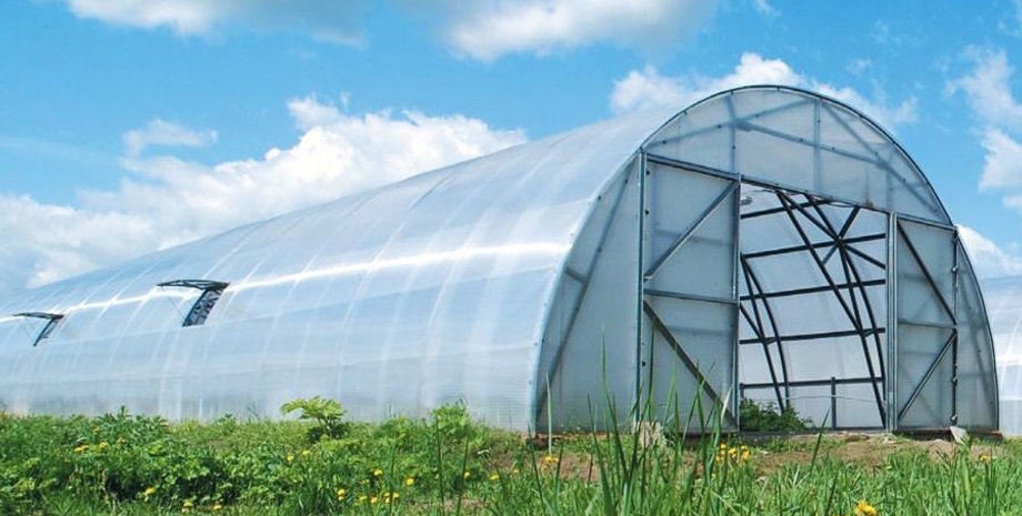 Теплица, поддержка фермеров в Украине