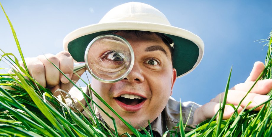 биолог, исследования, микромир, микрокосмос, жизнь травы