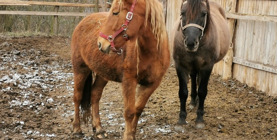 Фото: Евгений Гордейчик