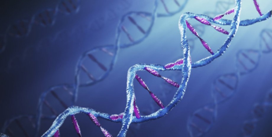 Фото: 3.bp.blogspot.com