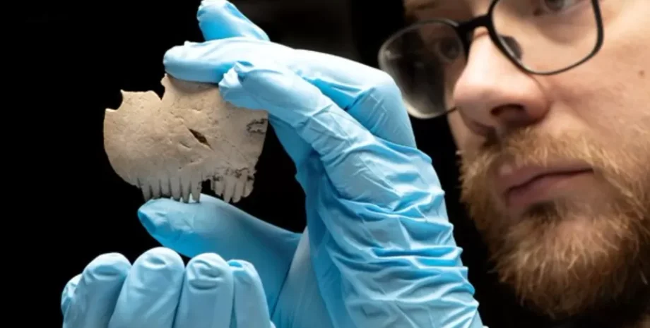 находка, расческа, история, исследование