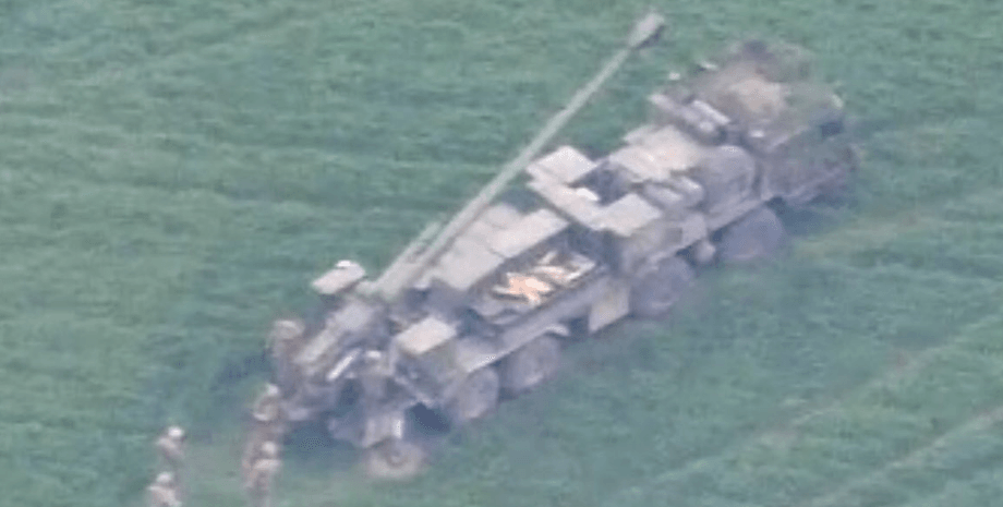 перша поява мальва