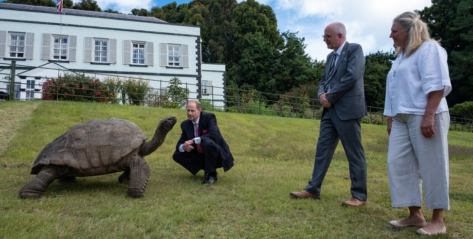 острів святої Олени, черепаха, черепаха довгожитель, черепаха Джонатан, принц Едвард