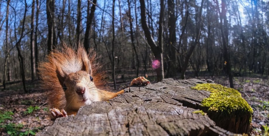 потепление