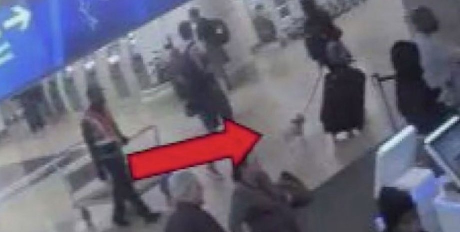 жестокое обращение с животными, животные, собаки, убийство собаки, убила собаку, утопила собаку