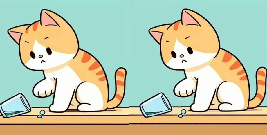 Головоломка, найдите отличия, тренировка зрения, проверка зрения, внимательность, визуальная головоломка, кот, играет со стаканом