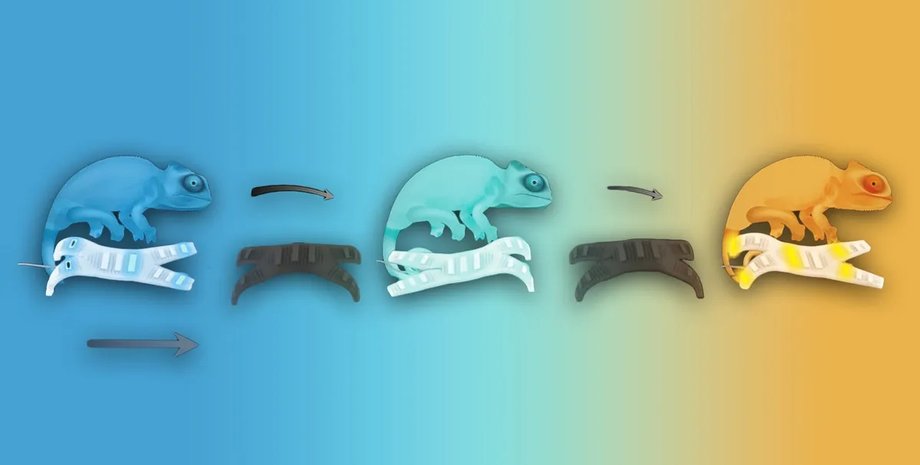 робот, роботы, хамелеоны