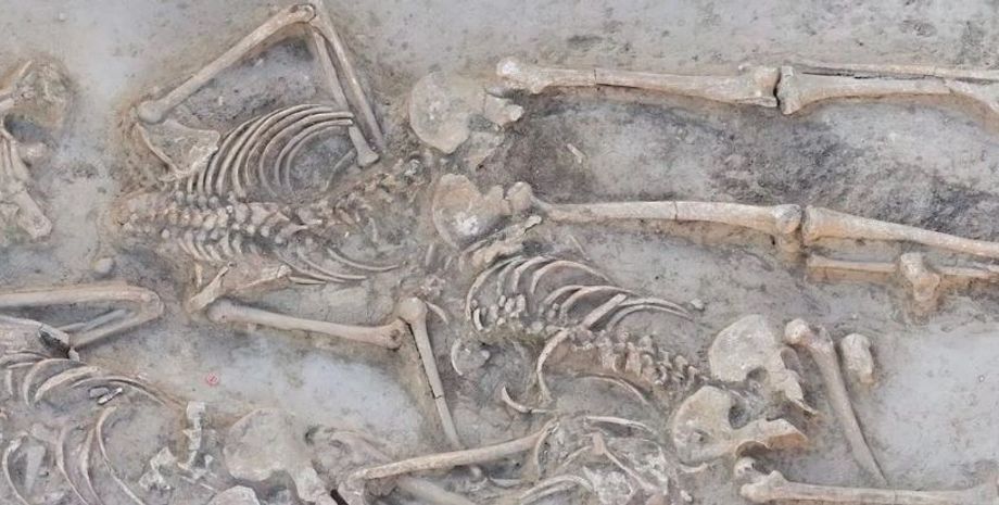 поховання, розкопки, археологія, древні люди, дослідження