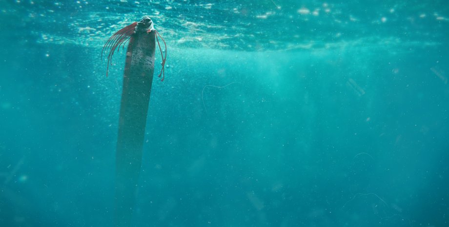 рыба-весло, рыба, океан