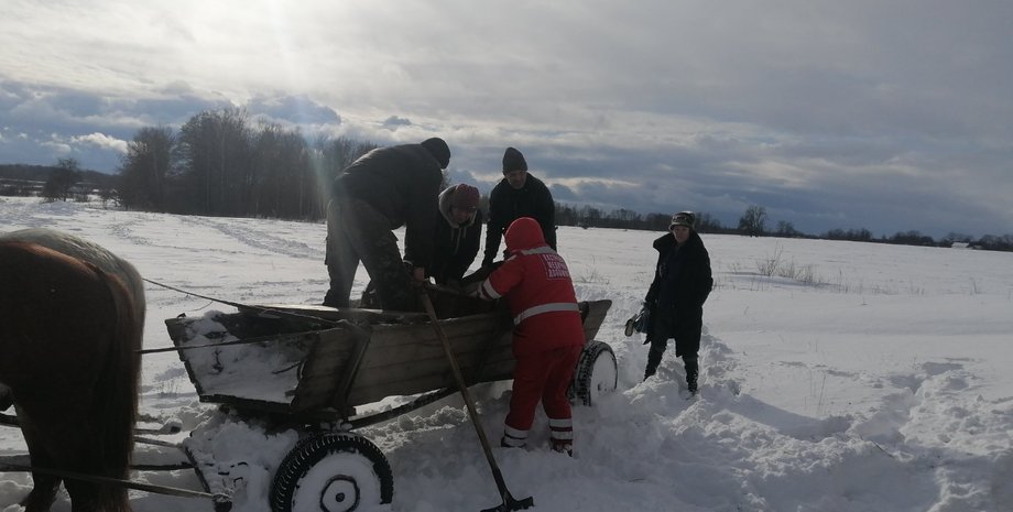 Врач, ГСЧС, скорая помощь, лошади, Житомирская область