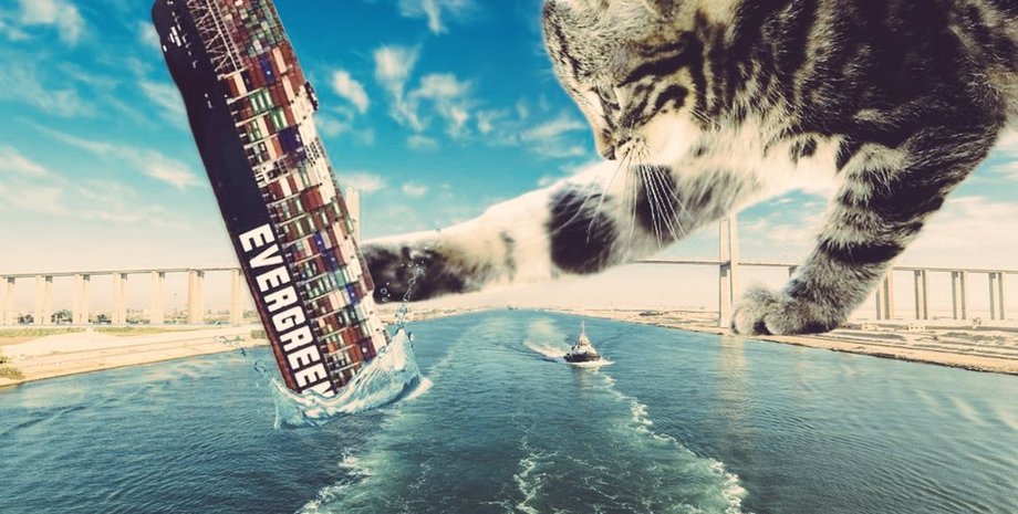 Контейнеровоз в Суэцком канале, кот