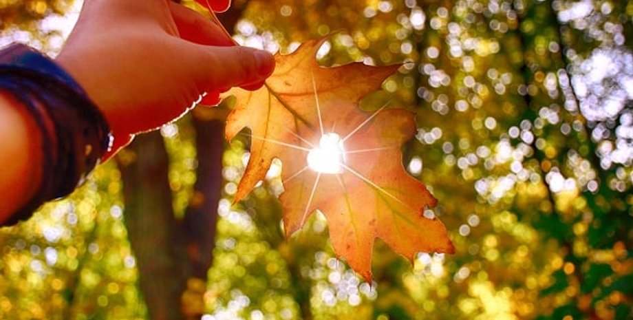 Погода в сентябре, погода в Украине, погода осенью, Украина осень, Украина дожди, Украина дожди, погода дожди, погода солнечно, Украина солнце