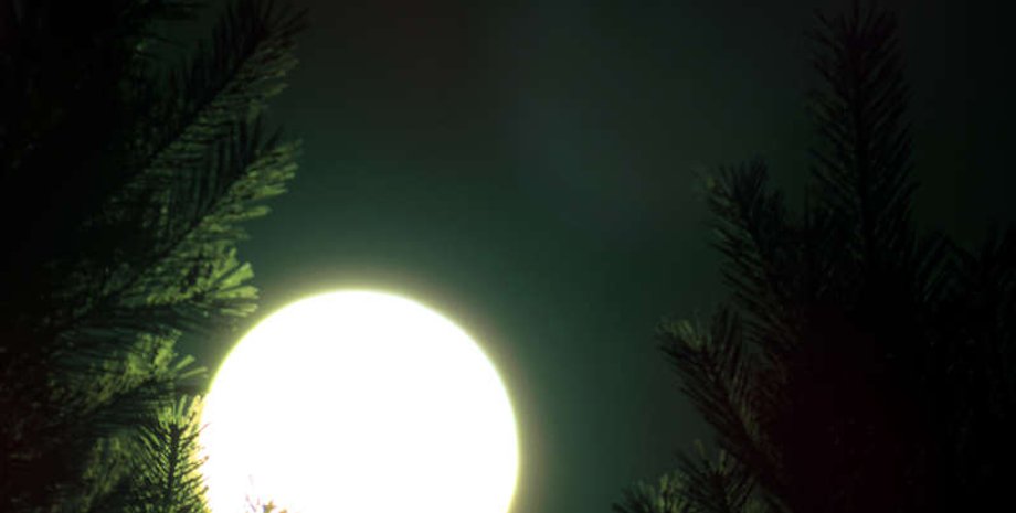 Фото: torange.biz