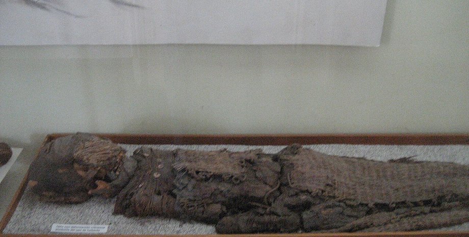 Мумия Чинчорро Мумиям Чинчорро около 7000 лет