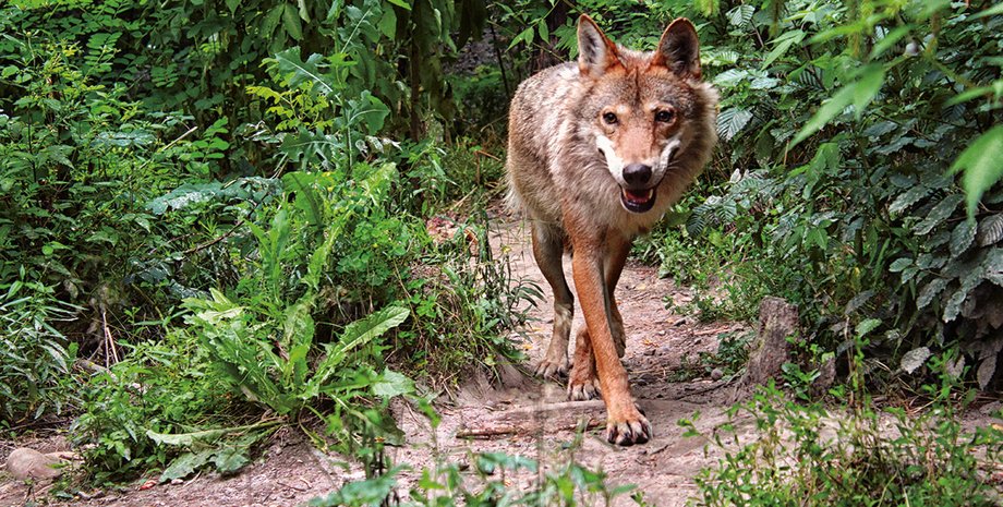 Фото: Юлия Радченко