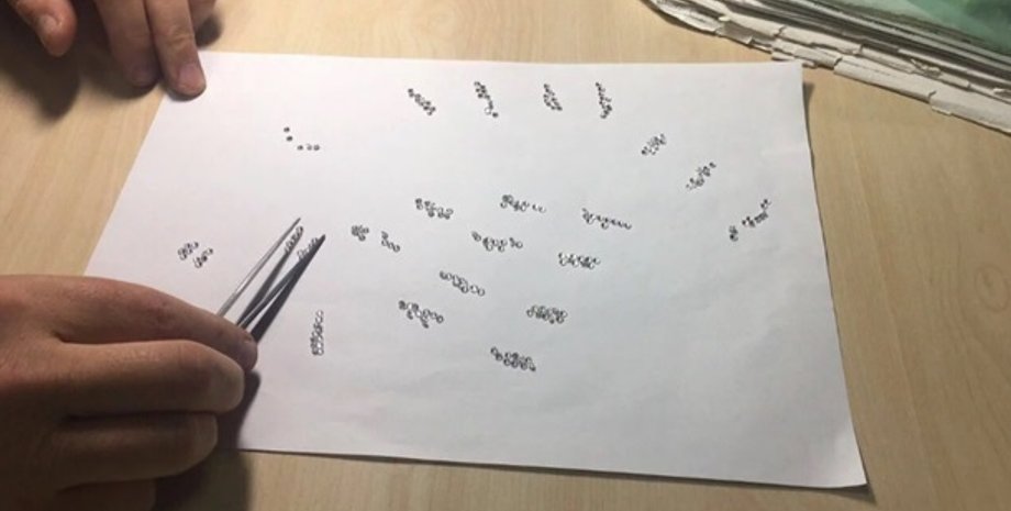 Фото: Пресс-служба ГФС Украины