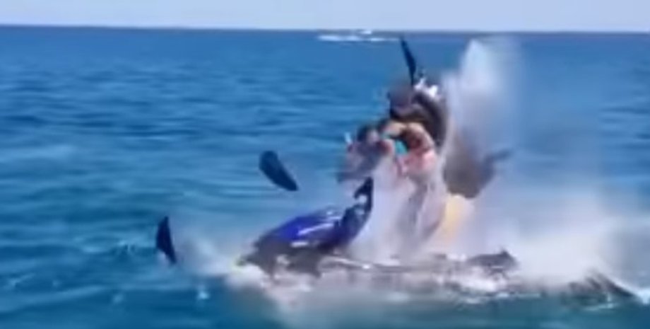 Фото: Скриншот