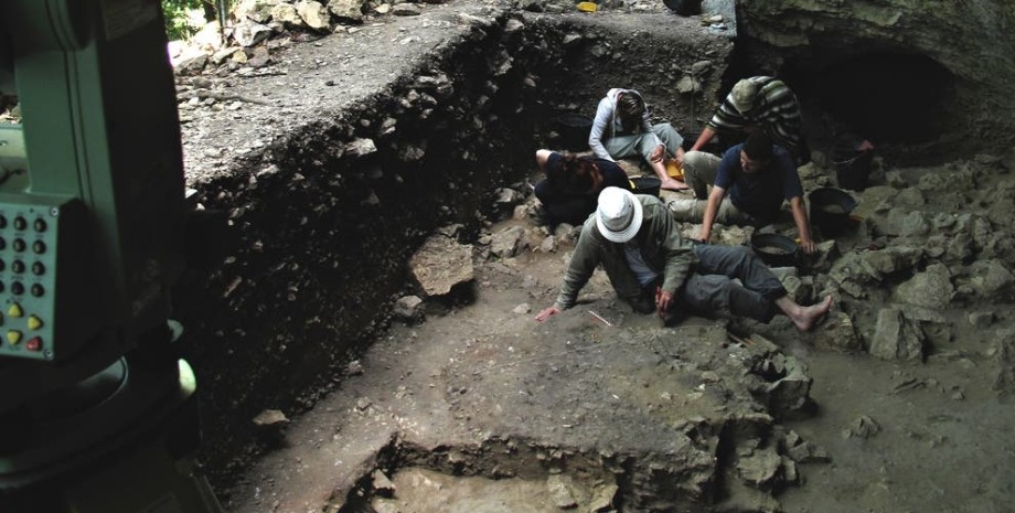 Раскопки, археологи, неандертальцы, Homo sapiens