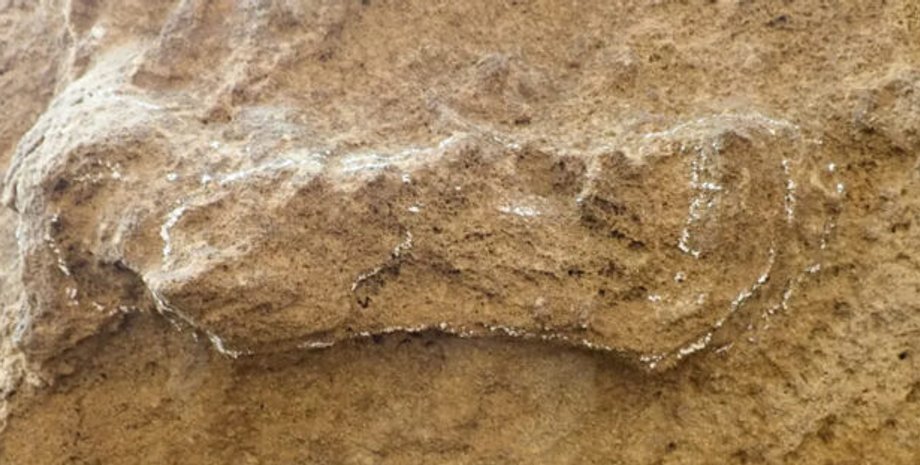 древние люди, исследования, происхождение людей, история, раскопки, следы, окаменение, Африка, открытие, наука