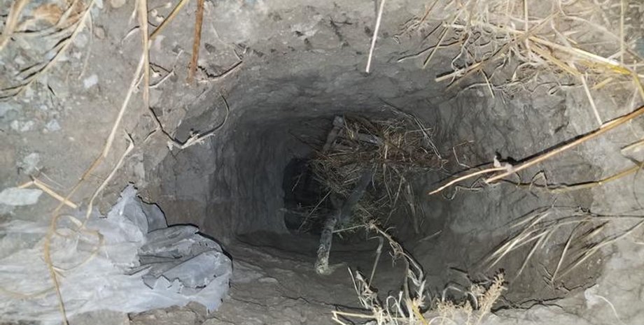 Тоннель из Мексики в сан-Диего / Фото: The San Diego Union-Tribune