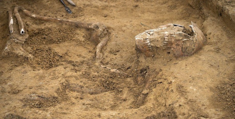 останки, зубы, песок, фото