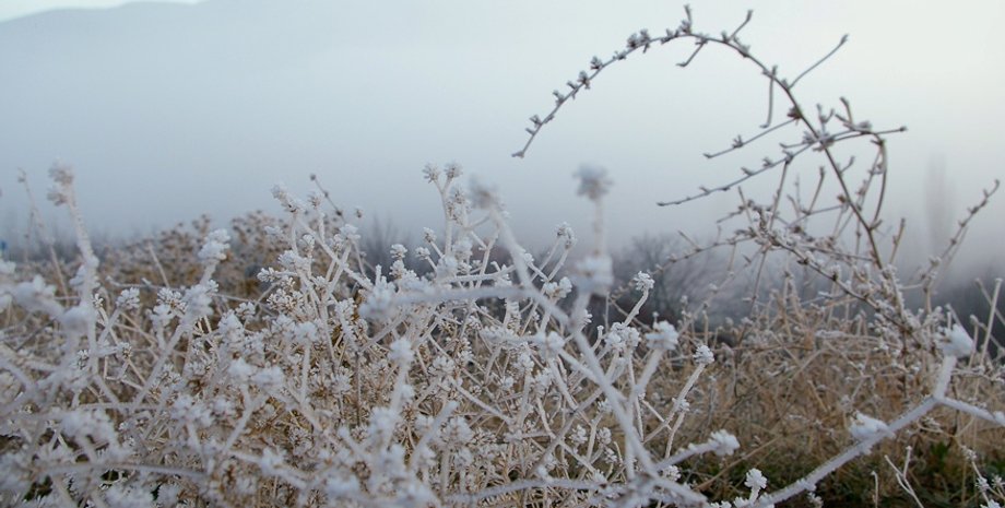 Фото: yahyalifoto.com