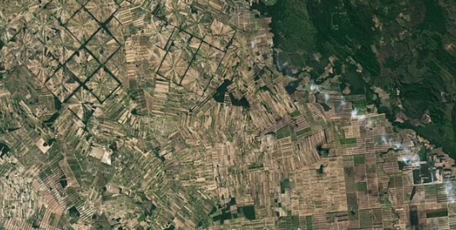 Спутниковые снимки NASA показывают последствия вырубки лесов в Боливии (2022 год) леса амазонки, вырубка лесов боливия