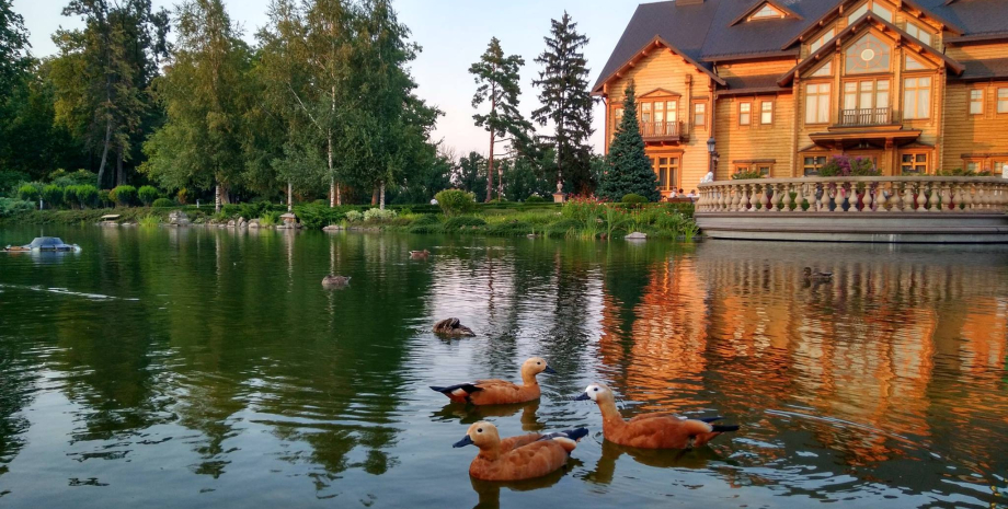 Межигорье Межигорье, резиденция януковича, президент беглец