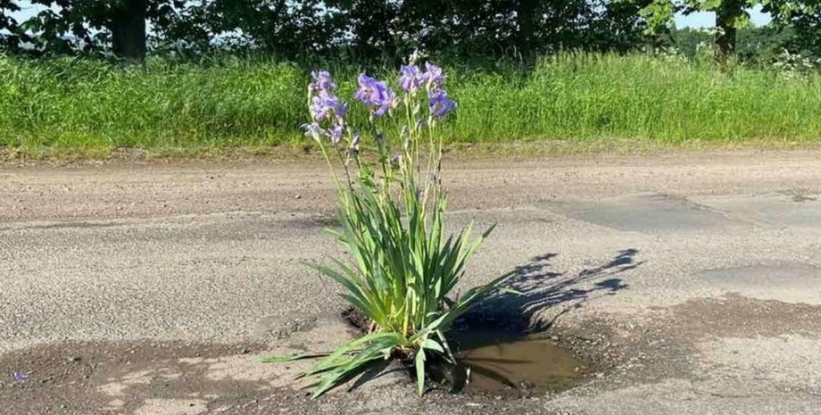 Крижопіль, яма, дороги