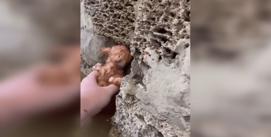 Херсон под водой, Херсон затопило, подрыв Каховской ГЭС,