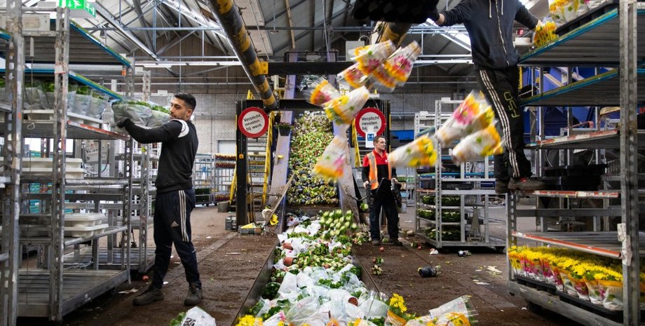 Фото: nytimes.com