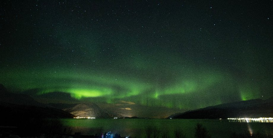 Фото: Алексей Газубей