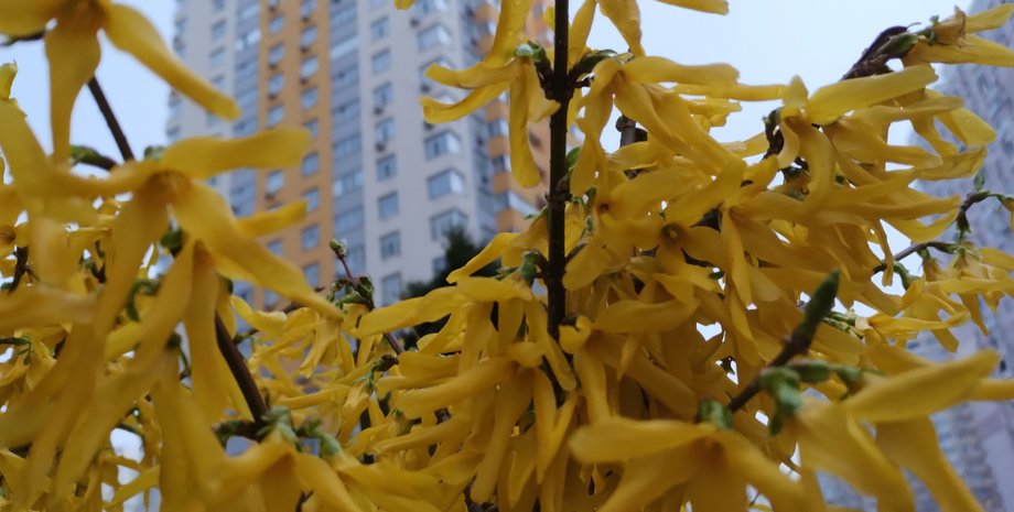 недвижимость, киев, налог на недвижимость, налог на недвижимость украина 2023, какая ставка налога на недвижимость, как узнать сумму уплаты налога на недвижимость, когда нужно уплатить налог на недвижимость