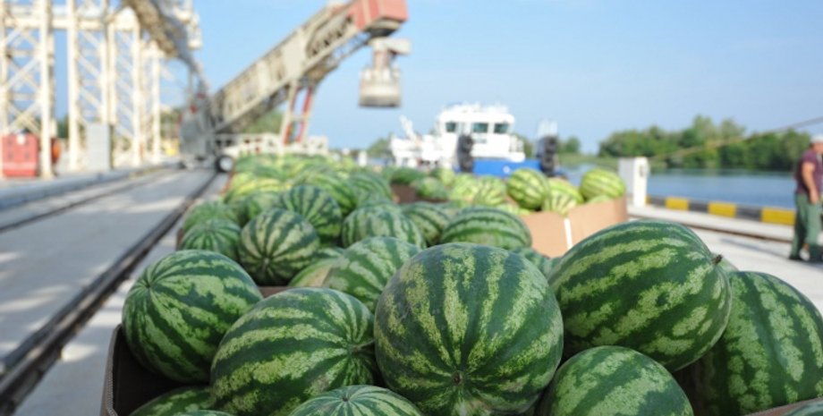 кавуни херсонські, кавуни в порту, врожай кавунів, доставка кавунів, кавуни в коробці