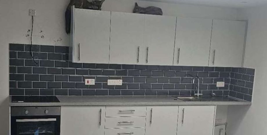 Живые лисята залезли в дом Рамсгейти, что в графстве Кент, Великобритания, звери, животные, курьезы