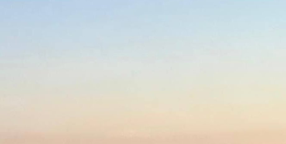 БПЛА в Балашихе