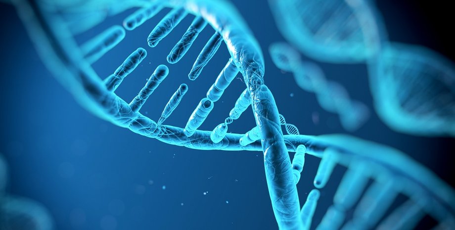 Фото: lancet.co.ke