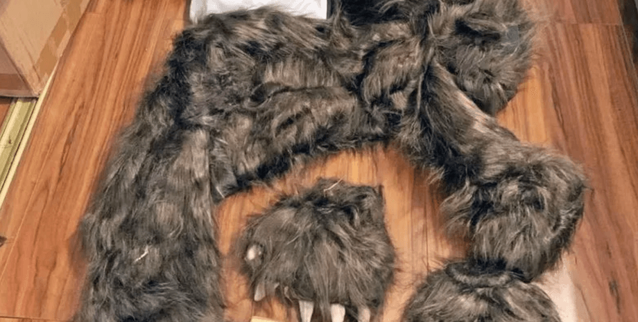 Медведь, страховка, нападение, имитация нападения