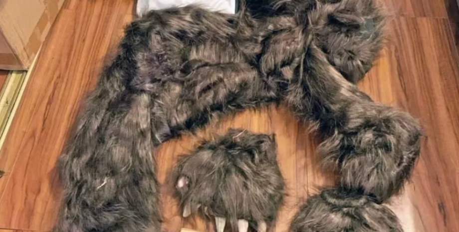 Костюм медведя Медведь, страховка, нападение, имитация нападения