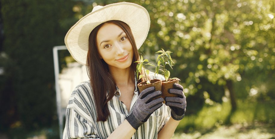 Соседка пожаловалась в ОСМД на растения соседки: говорит, что они "слишком счастливы"