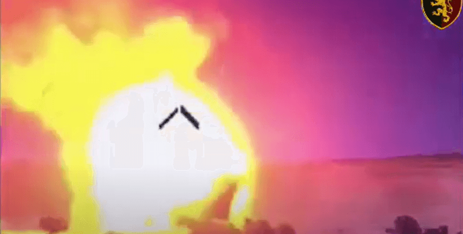 Фото: скриншот