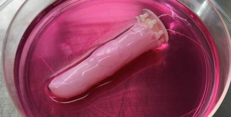 роботизированный палец, розовый раствор, фото
