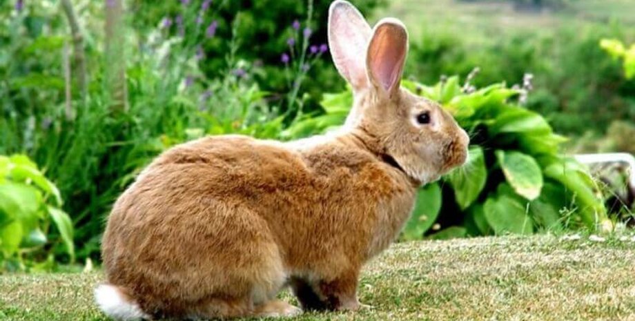 Фото: СельхозПортал