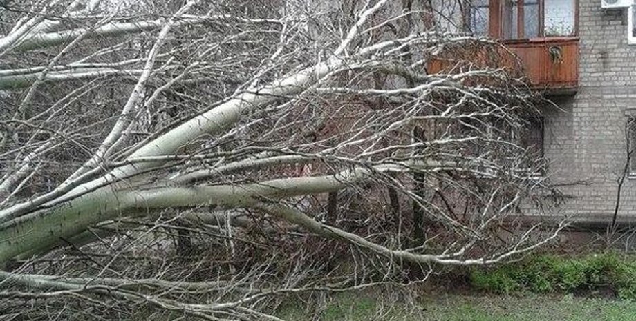 Непогода в Одессе / Фото: Трасса Е-95