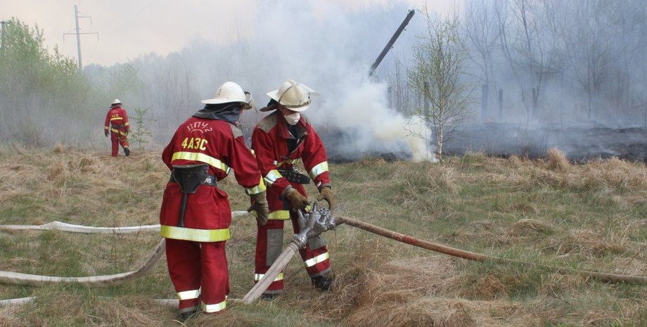 Пожарные в "Чернобыльской пуще" / Фото пресс-службы ГСЧС